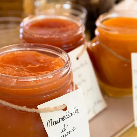 Crampon 3* Курмайор